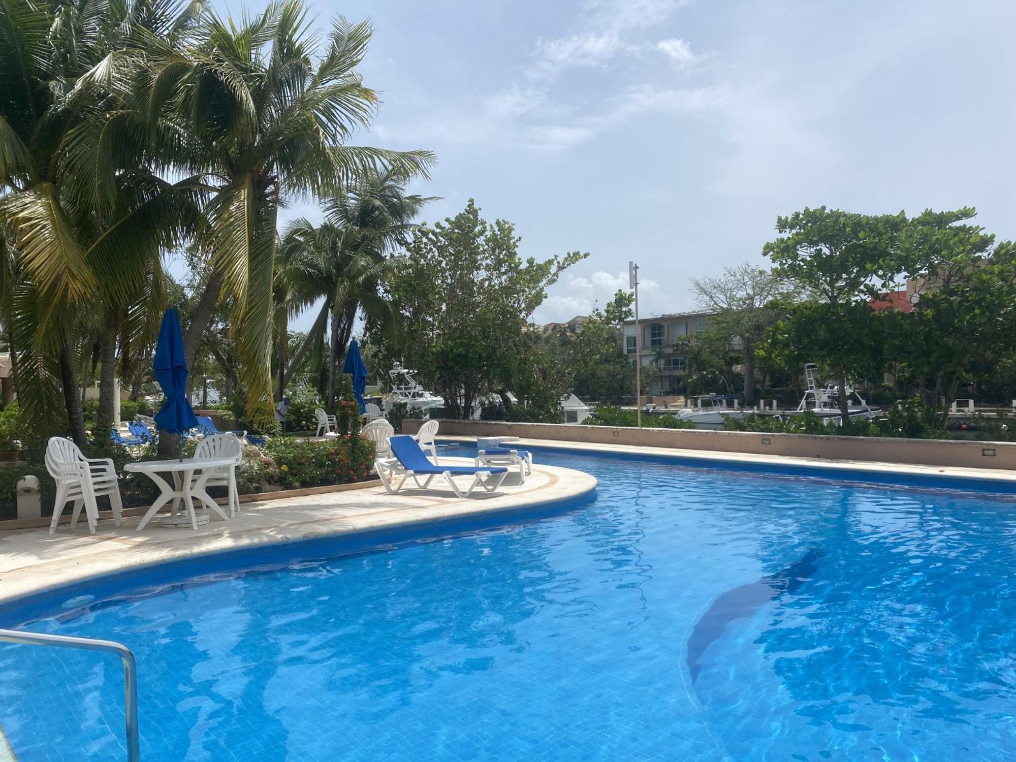 Rent Portobello Marina Y *
